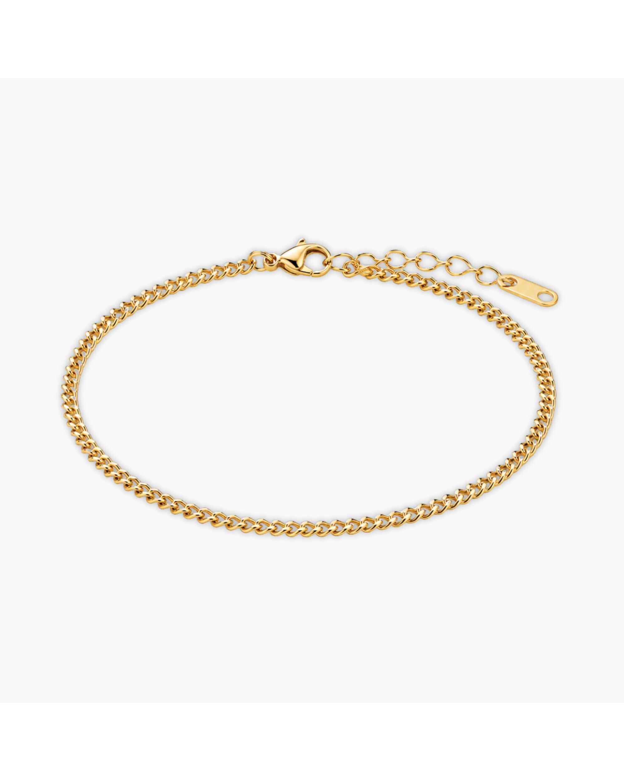 Penelope Bracelet, an 18K Gold PVD box chain bracelet with a clasp closure.