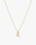 Gold-tone Leo zodiac pendant necklace on a fine adjustable chain.